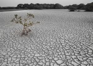 Architects | Architectural Services | Architects in London Architectural Services | Architectural Services Bromley, London